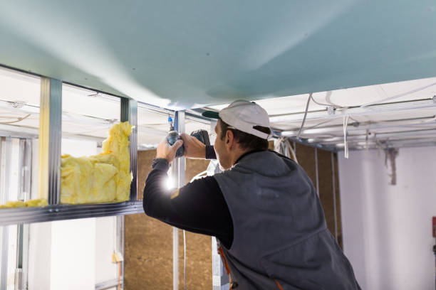 Best Blown-in Insulation in San Elizario, TX