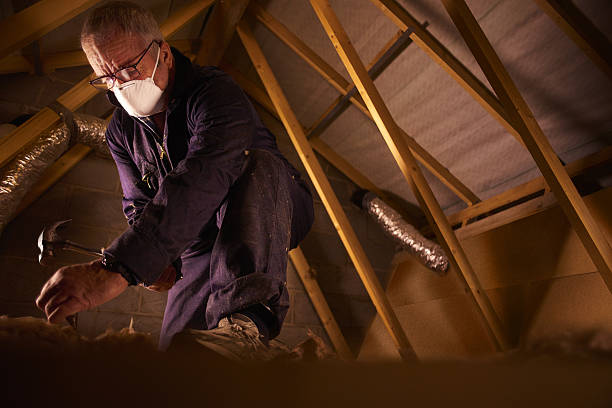 Best Insulation for Specific Applications in San Elizario, TX