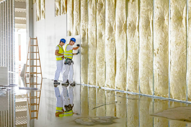 Best Specialized Insulation Services in San Elizario, TX